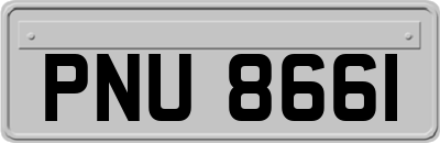 PNU8661