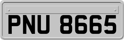PNU8665