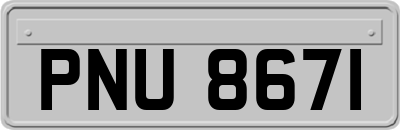 PNU8671
