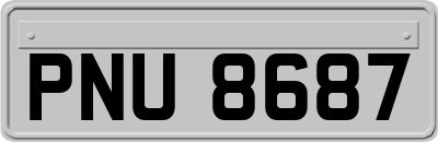 PNU8687