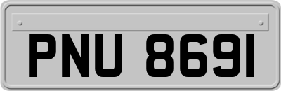 PNU8691