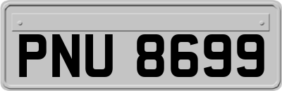 PNU8699