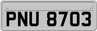 PNU8703