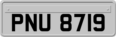 PNU8719