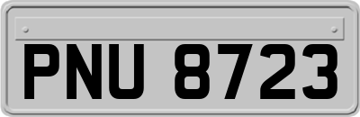 PNU8723