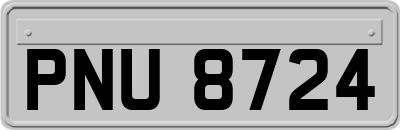 PNU8724