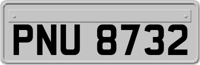 PNU8732
