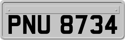 PNU8734