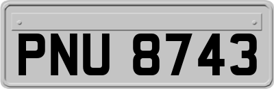 PNU8743