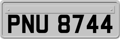 PNU8744