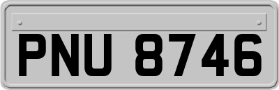 PNU8746