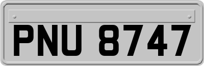 PNU8747