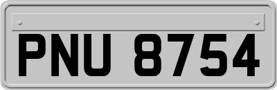 PNU8754
