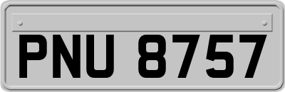 PNU8757