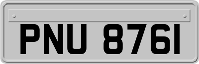 PNU8761