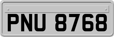 PNU8768