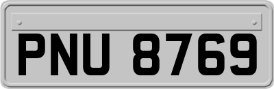 PNU8769