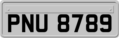 PNU8789
