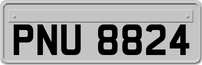 PNU8824