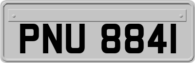 PNU8841