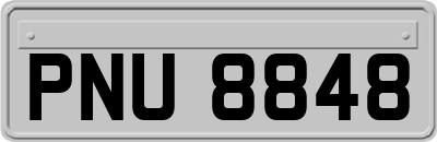 PNU8848