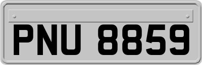 PNU8859
