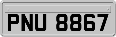PNU8867