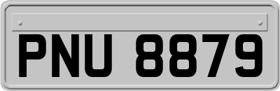 PNU8879