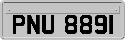 PNU8891