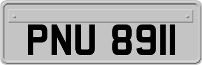 PNU8911