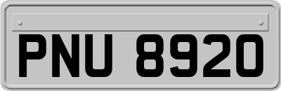 PNU8920