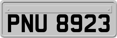 PNU8923