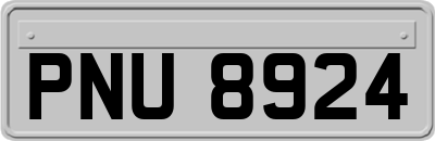 PNU8924