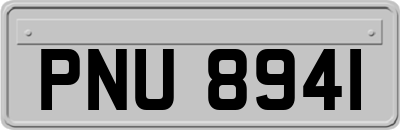 PNU8941
