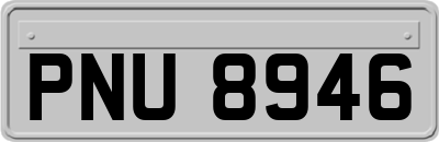 PNU8946