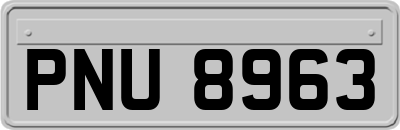 PNU8963