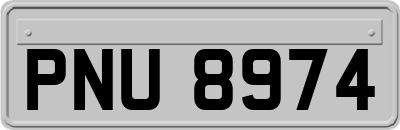 PNU8974