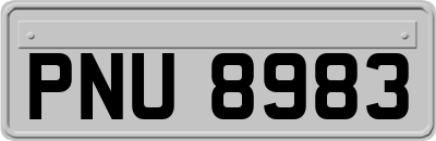 PNU8983