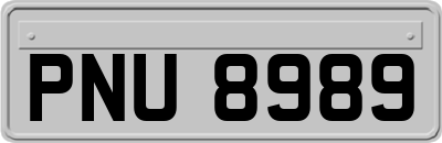 PNU8989