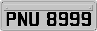 PNU8999