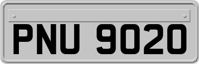 PNU9020