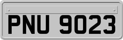PNU9023