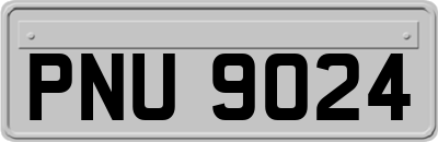 PNU9024