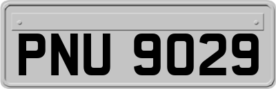 PNU9029