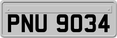 PNU9034