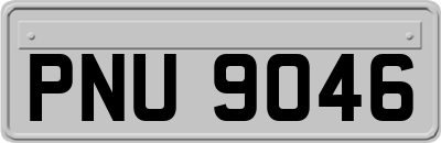 PNU9046