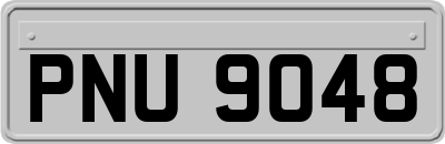 PNU9048