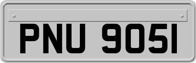 PNU9051