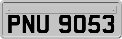 PNU9053