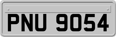 PNU9054